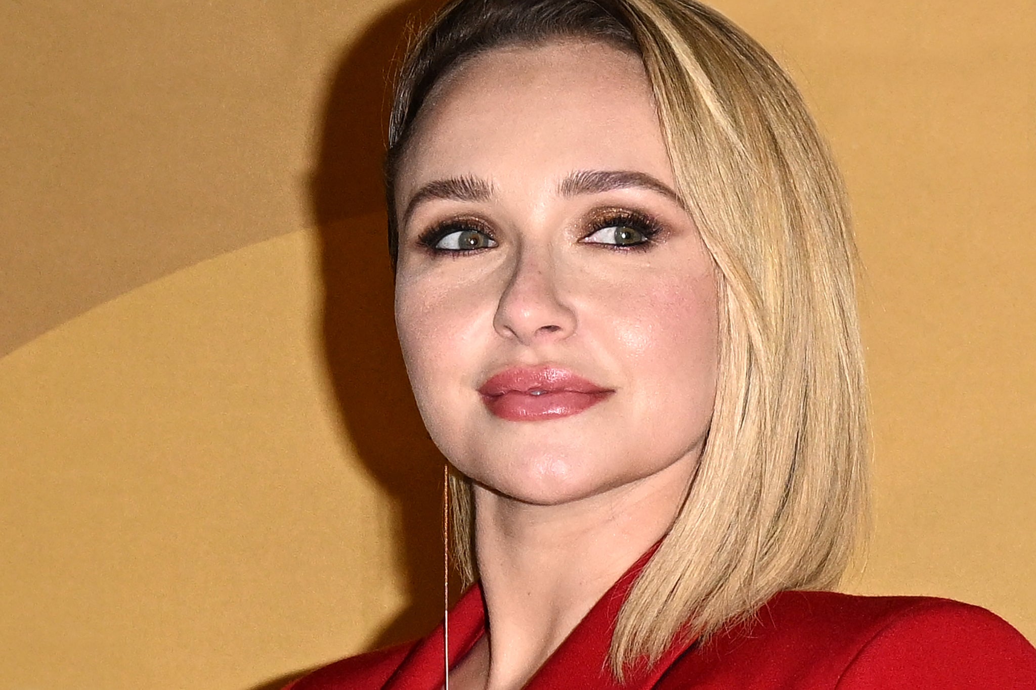 Panettiere’s on-off boyfriend’s brother has spoken out about her death