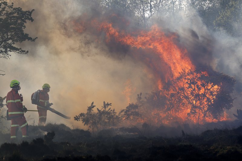 Firefighters spraying water into a wildfire with fires burning in the background