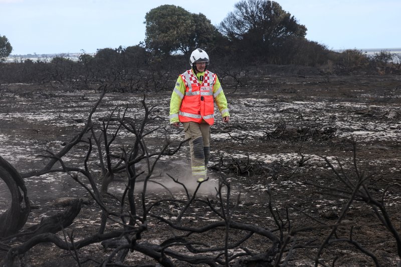 Fire and rescue services walking through the site of a wildfire in Suffolk in July 2026 in Dunwich, England