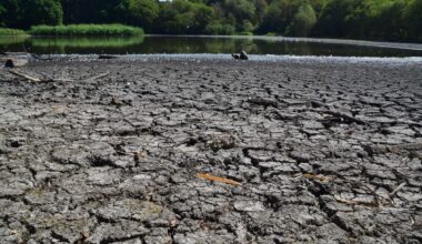 London set for days of rain at end of record summer: Will it save capital's parched parks? - London Evening Standard