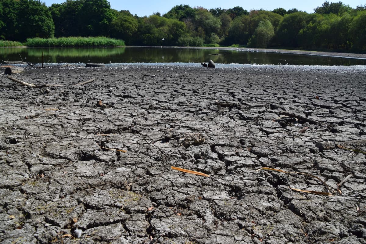 London set for days of rain at end of record summer: Will it save capital's parched parks? - London Evening Standard
