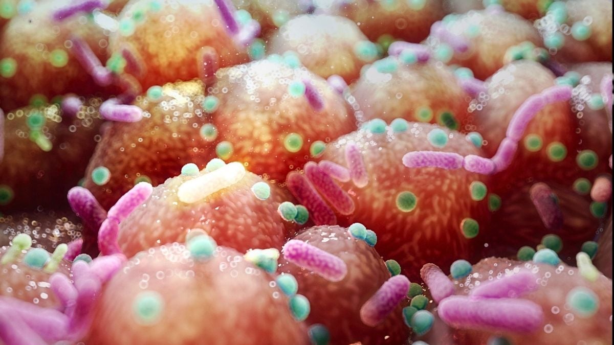 Parkinson's Link to Gut Bacteria Hints at Unexpectedly Simple Treatment : ScienceAlert