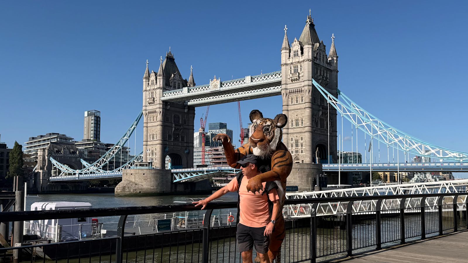 Londoner carries 9ft tiger across the UK for conservation charity