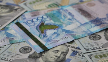 What Lies Behind Kazakhstan’s External Debt