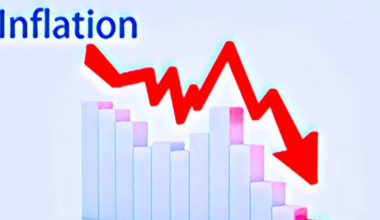 Inflation declines - The Nation Newspaper