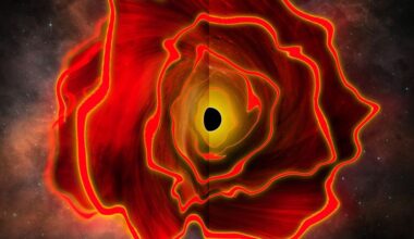 Astronomers Discover the Existence of a Black Hole Star