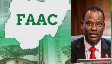 Allocations can’t guarantee prosperity for states —Oyedele