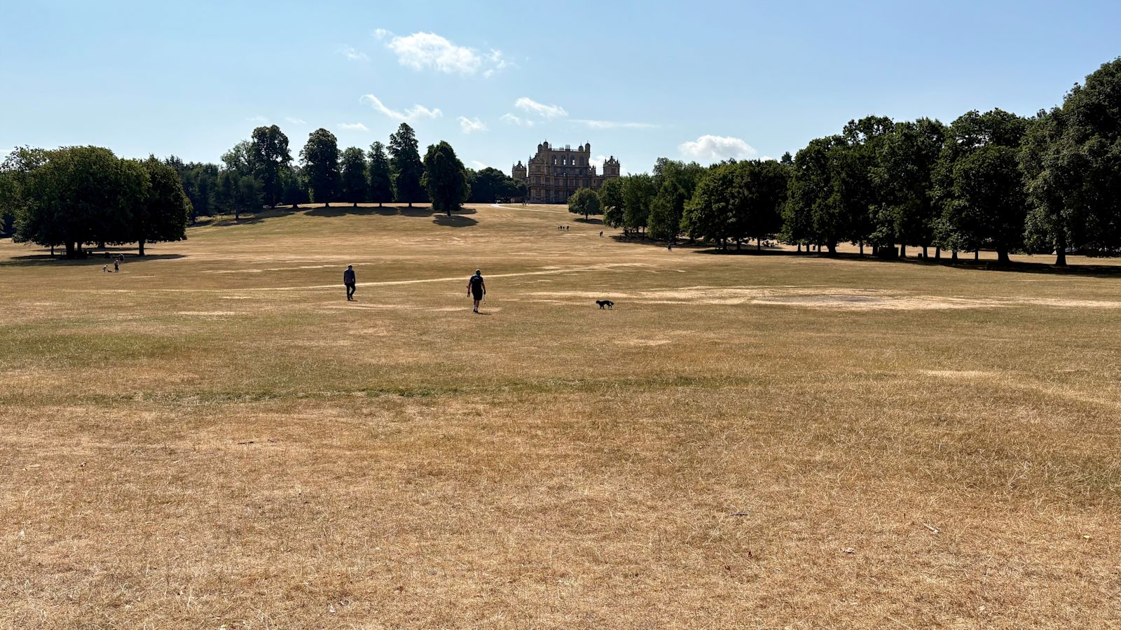 Amber heat health alert to come into force in East Midlands with temperatures of up to 30 degrees