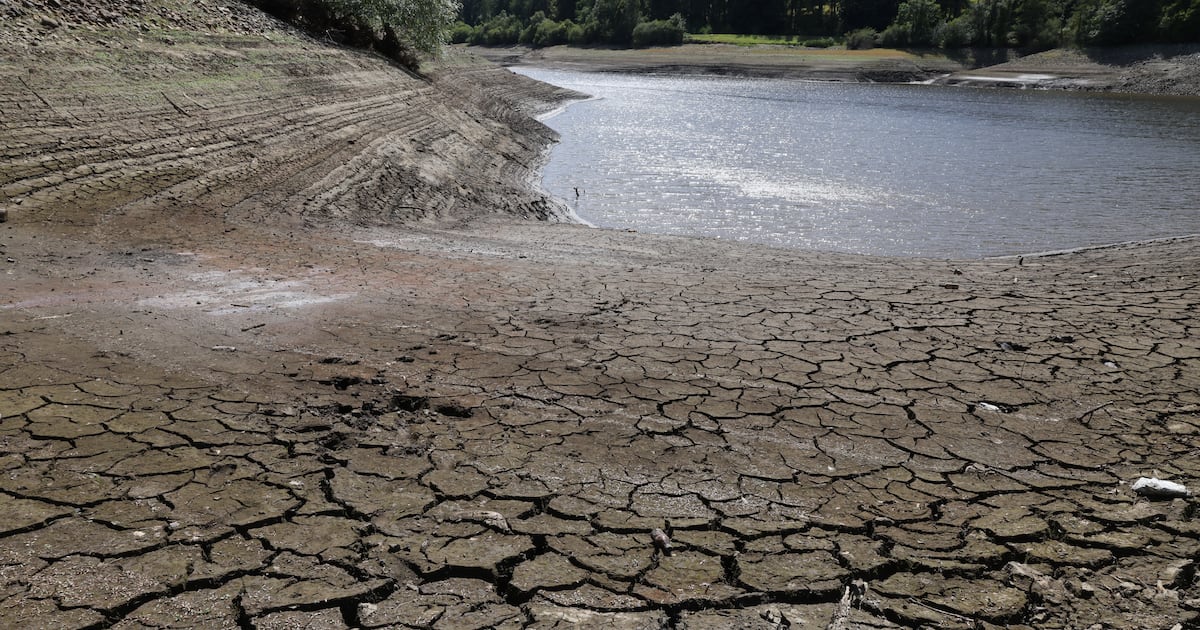 Baked, cracked mud seen at Dublin reservoir as depleted water levels closely monitored – The Irish Times