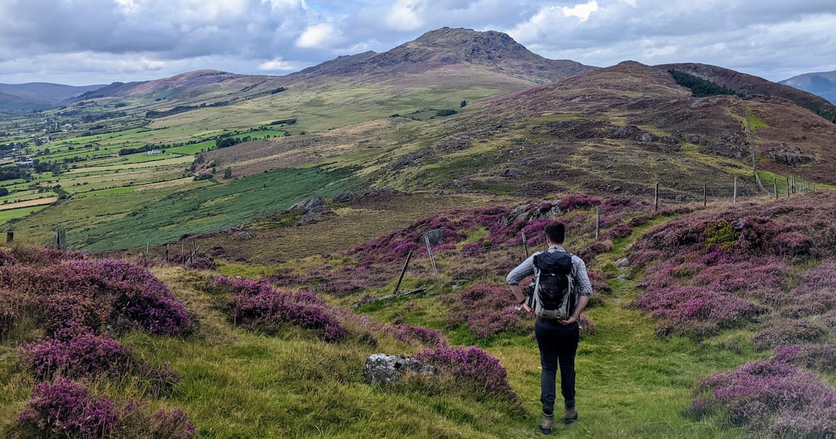 Ancient Irish volcano provides new clues to modern-day eruptions – The Irish Times