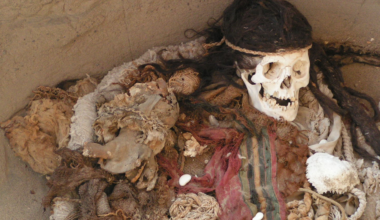 When scientists first uncovered the ancient mummies of western China, their European-looking faces and fair hair suggested they were travelers who had wandered east from Europe — but their DNA told a stranger story: they were a local people who had lived there, isolated, for thousands of years