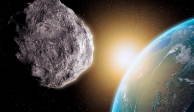 In 2022, a NASA spacecraft slammed into a distant asteroid and knocked it into a new orbit — the first time we had ever deliberately changed the path of another world, a rehearsal for the day a real one comes for us