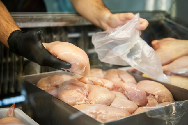 A butcher's hands hold a piece of chicken meat in a butcher shop. The butcher stores the chicken meat in a bag; Shutterstock ID 2694404125; purchase_order: -; job: -; client: -; other: 15829173