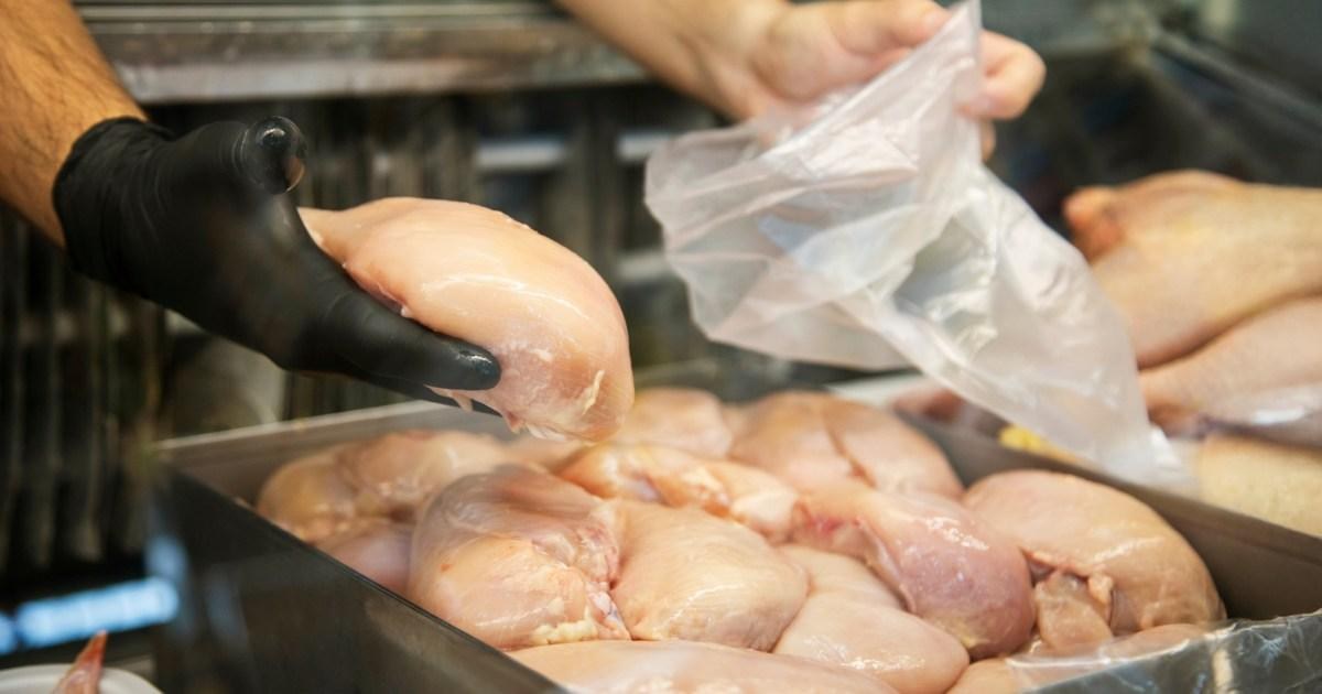 Salmonella outbreak affecting UK 'may have spread to chicken' | News UK