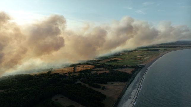 Screen grab taken from video provided by Ryan Lovejoy of the wildfire at Dunwich Heath, near Leiston, where a major incident has been declared as firefighters battle a large heathland blaze on the Suffolk coast. Picture date: Wednesday July 29, 2026. PA Photo. Photo credit should read: Ryan Lovejoy/PA Wire NOTE TO EDITORS: This handout photo may only be used in for editorial reporting purposes for the contemporaneous illustration of events, things or the people in the image or facts mentioned in the caption. Reuse of the picture may require further permission from the copyright holder.