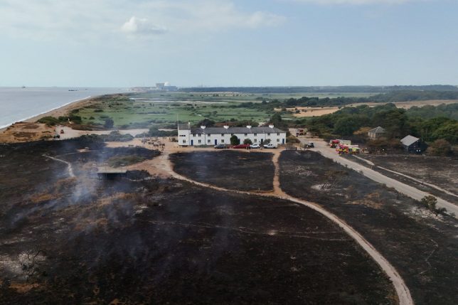 A drone view shows scorched woodland near Dunwich, Britain, July 31, 2026, where a major incident remains in place after a coastal heathland blaze started on Wednesday, in one of seven areas affected by drought conditions declared by Britain's Environment Agency. REUTERS/Jack Taylor