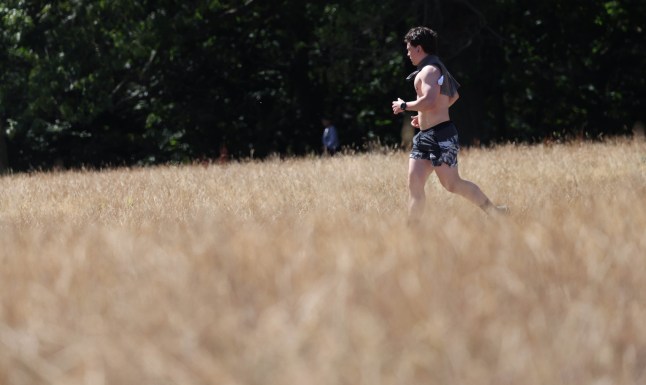 epa13157941 A man runs through dry grass at Hampstead Heath in London in Britain, 09 August 2026. More than half of England has been officially declared in drought by the Environment Agency due to record-low rainfall and exceptionally high temperatures. The National Farmers' Union (NFU) has warned that prolonged heatwaves and drought could lead to food product shortages. British farmers have started harvesting earlier than normal in an attempt to save failing crops as the country experienced its driest July on record. Grass growth is at a standstill in many areas of the UK, leaving livestock feed in short supply. EPA/NEIL HALL