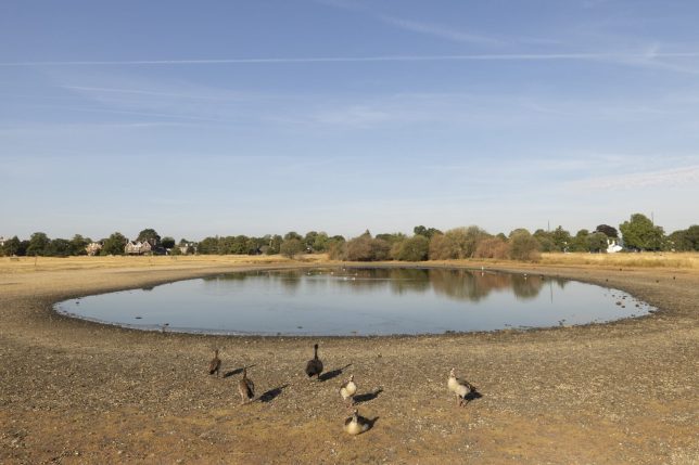 LONDON, ENGLAND - AUGUST 14: A general view of the depleted Rushmere Pond on Wimbledon Common on August 14, 2026 in London, England. The UK Health Security Agency (UKHSA) has issued heat-health alerts from Tuesday to Friday for nine regions in England, as parts of the country are forecast to see temperatures in excess of 36C during the fifth heatwave of the season. The National Drought Group has declared that two-thirds of England are now officially in drought, with water use restrictions impacting 27 million people. Last month was the driest July ever recorded in the country since records began in 1836. (Photo by Brook Mitchell/Getty Images)