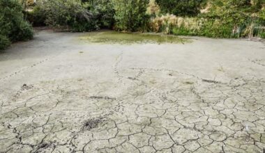Why heavy rain won't end hosepipe bans