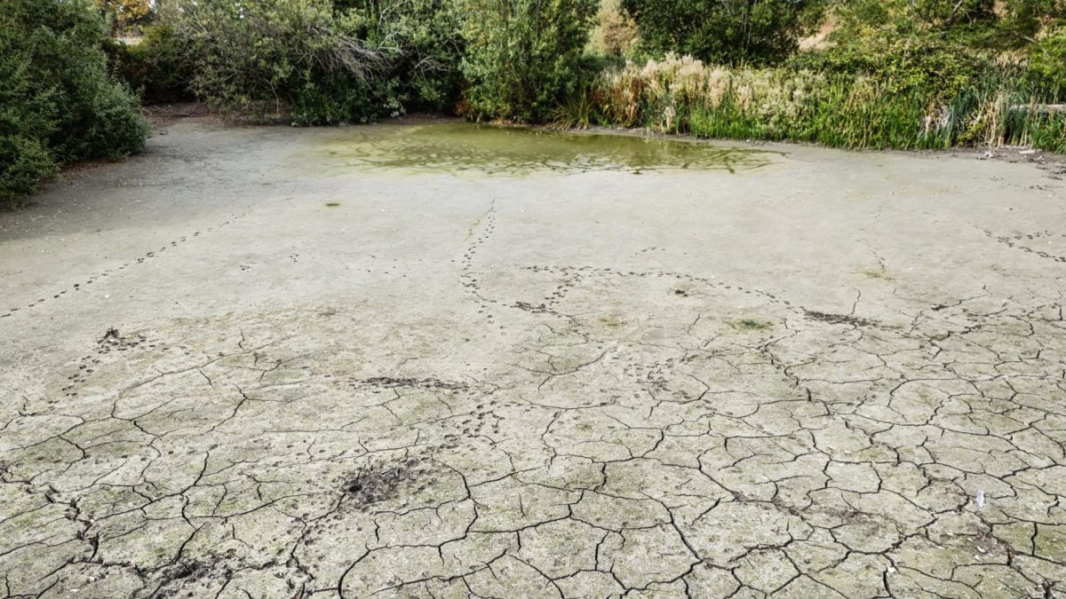 Why heavy rain won't end hosepipe bans
