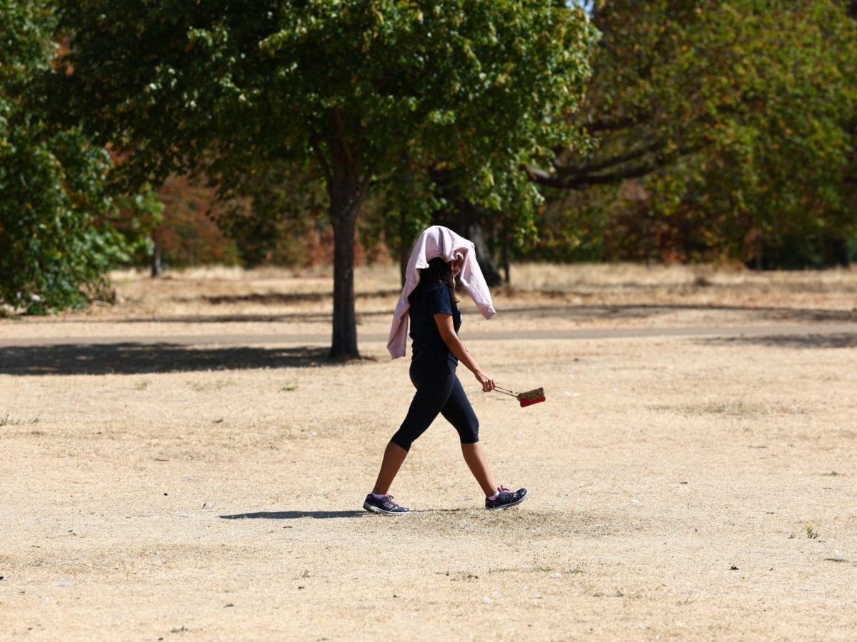 A walker protects themselves from the sun on the scorched grass of Hyde Park, in central London on August 9, 2026, as another heatwave threatens the capital this week. England and Wales recorded the driest July since records began. Some counties across England saw less than one millimetre of rain during the entire month of July. (Photo by Peter Nicholls / AFP via Getty Images)
