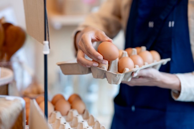 Fresh, organic chicken eggs in recyclable egg cartons are being arranged for customer orders by a Japanese owner of a zero-waste whole foods refill store, as seen in a close-up.