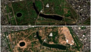 Scorched London: Images from space reveal how heatwaves have frazzled the capital - London Evening Standard