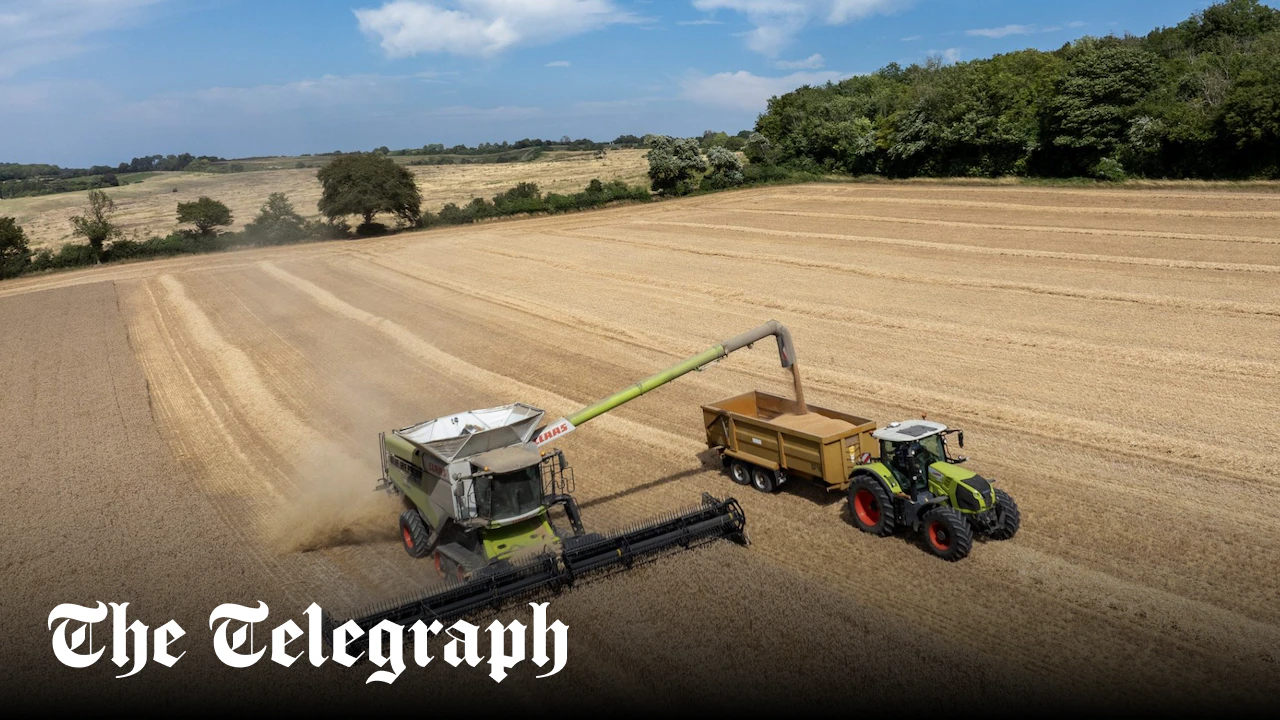 Farmers face £550m hit from worst harvest on record