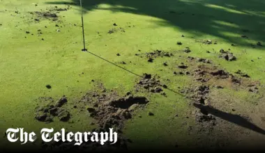 Drought drives hungry badgers to tear up golf courses