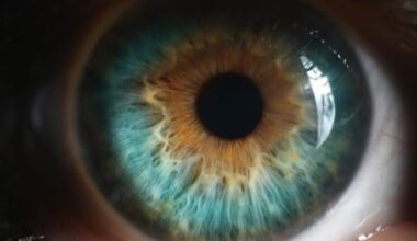 Catching up with eye health supplement science
