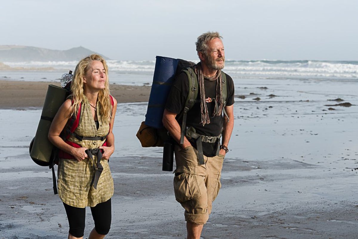 Gillian Anderson hopes fans see The Salt Path movie as ‘separate’ to controversial book - independent.co.uk