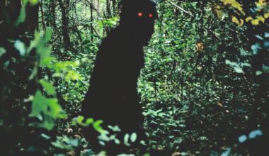 Apichatpong Weerasethakul 4K Restorations Land at The Match Factory