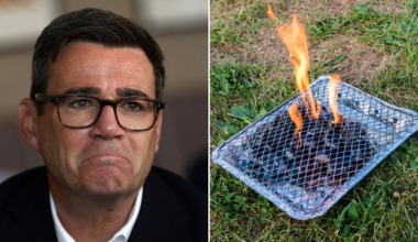 PM urges shops to stop selling disposable barbecues over wildfires risk
