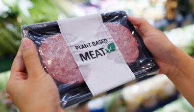 Vegan Plant-Based Meat Package