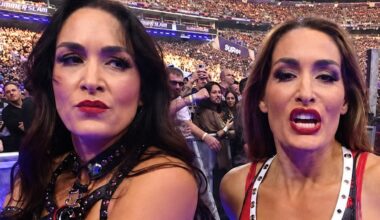 WWE SummerSlam 2026 Brie Bella Injury