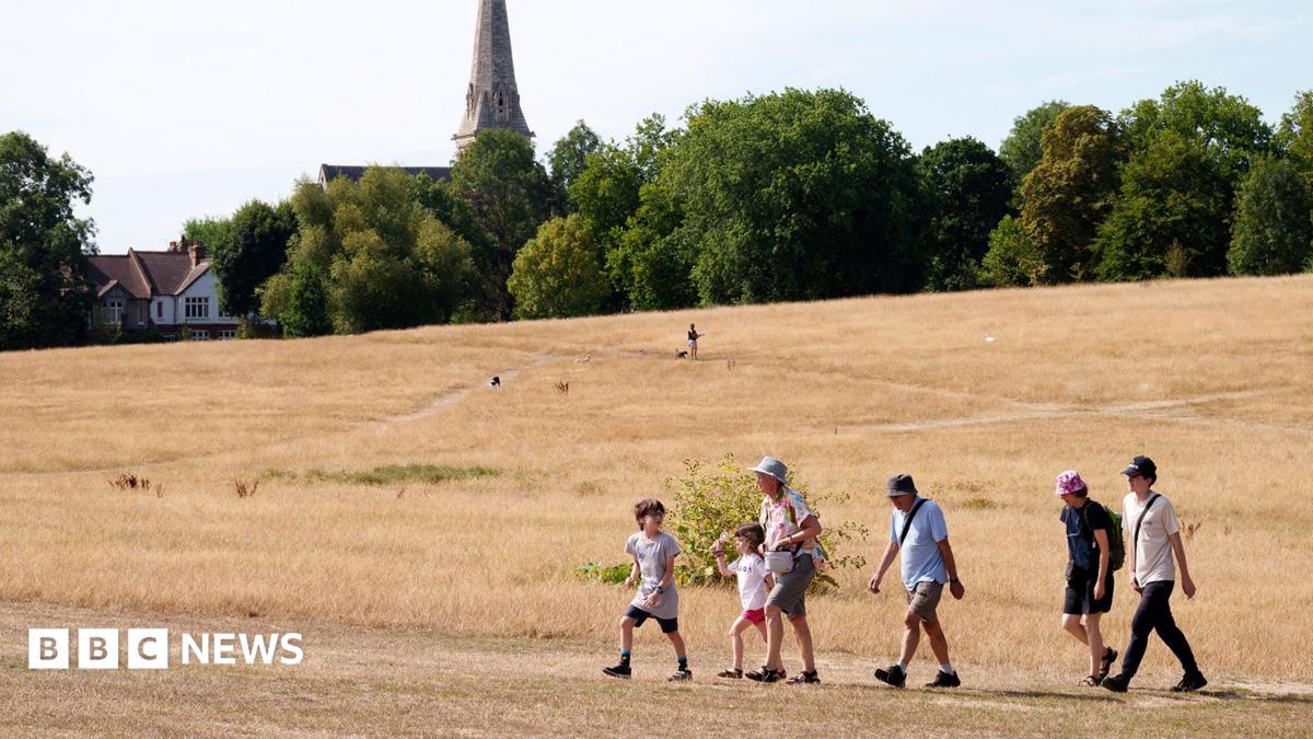 Heat health alerts upgraded for most of England with temperatures to hit mid-30s this week