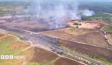 New Forest wildfire: Firefighters to work into the night