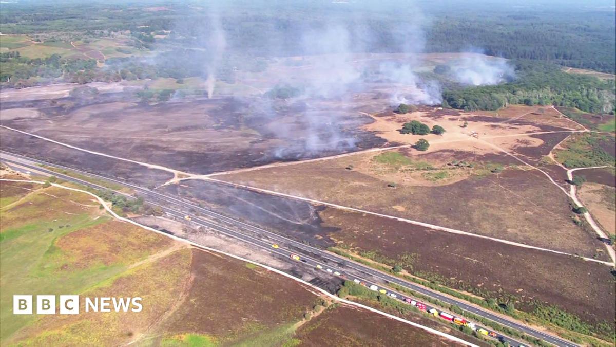 New Forest wildfire: Firefighters to work into the night