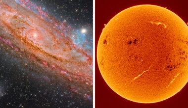 29 Spectacular Photos Shortlisted For The 2026 ZWO Astronomy Photographer Of The Year