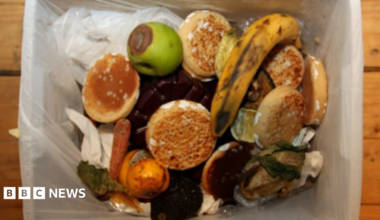 Food waste is photographed from above in a bin. The bin is stood on floorboards within a white bin liner.