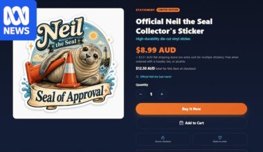 Neil the seal merchandise website taken down after questions about conservation donation claims