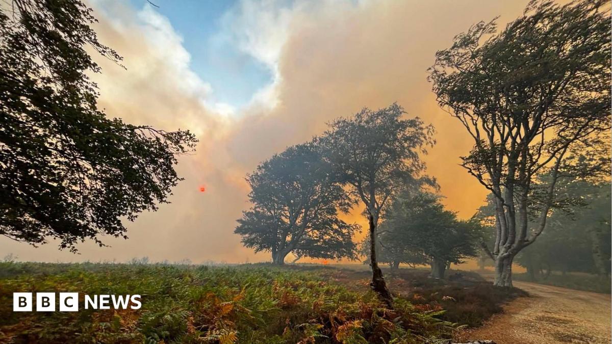New Forest fire that spread from van now size of 140 football pitches