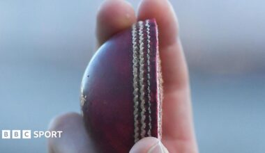 The halved cricket ball
