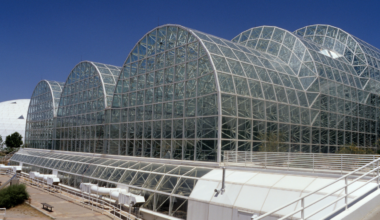 Biosphere 2 was built to test whether eight people could survive completely sealed off from the rest of Earth for two years — but inside its glass walls, cockroaches and stowaway ants boomed while most of the birds and pollinators died.
