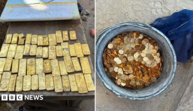 Images of the gold bars and coins. The gold bars are lined up in rows on the left of the image, and the right side shows a metal bucket full of coins.