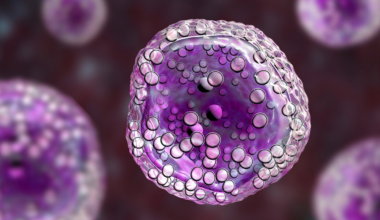 Scientists have found a cell that fights infection by detonating. It bursts, kills everything within reach, and five minutes later there is nothing left to show it was ever there