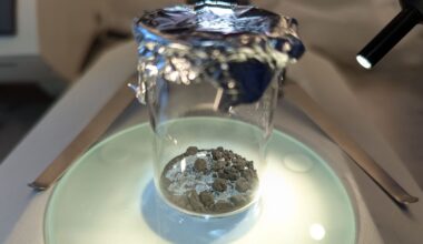 Meteorite that crashed through couple's roof contains building blocks of life