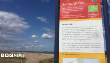 An information board about Sandwich Bay stands beside a shingle beach under a blue sky with scattered clouds. The sign explains the beach's bathing water status and location, with the coastline, sea and distant shoreline visible in the background.