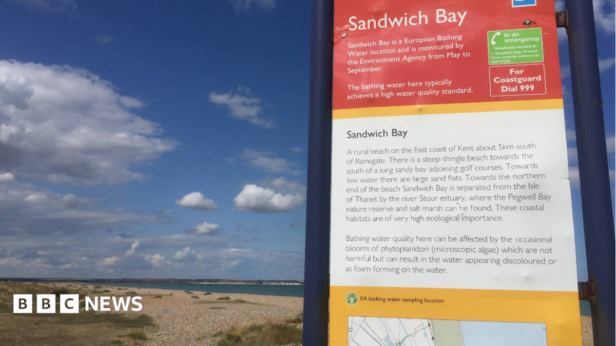 An information board about Sandwich Bay stands beside a shingle beach under a blue sky with scattered clouds. The sign explains the beach's bathing water status and location, with the coastline, sea and distant shoreline visible in the background.