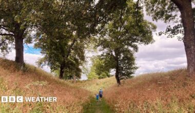 An adult and a child walk along a path under trees which rise up on either side and cloudy skies above